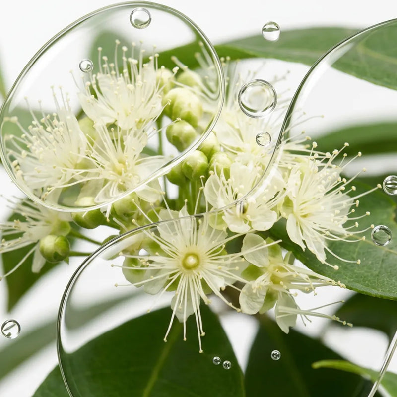 Lemon Myrtle Oil