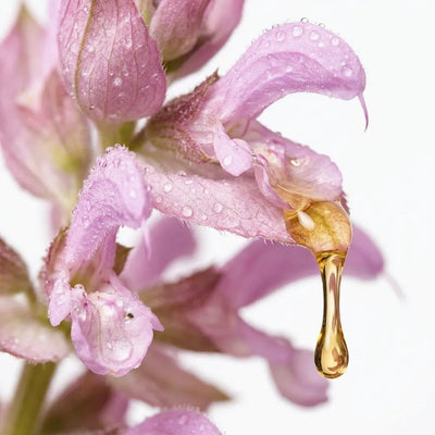 Clary sage oil