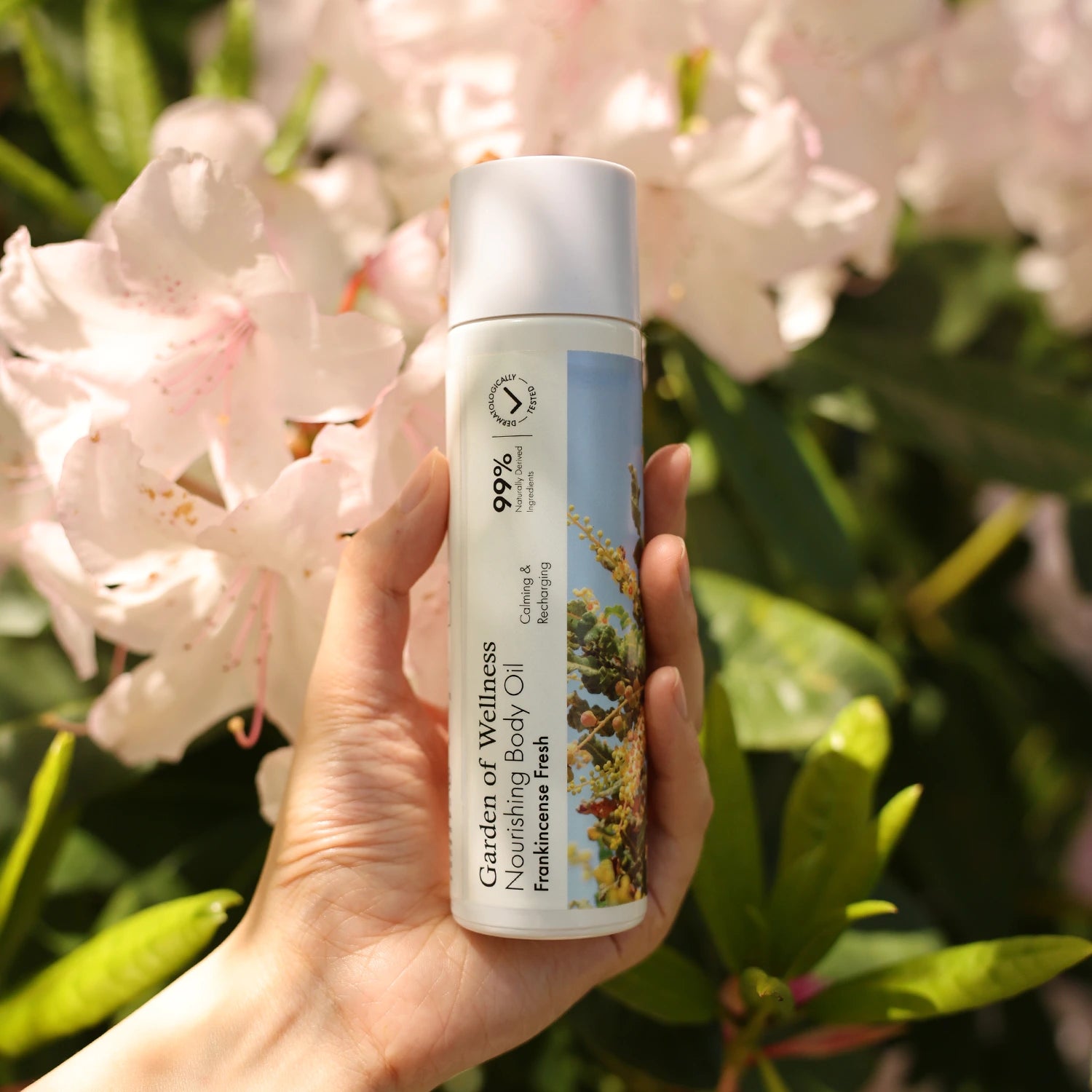 Frankincense – Nourishing Body Oil