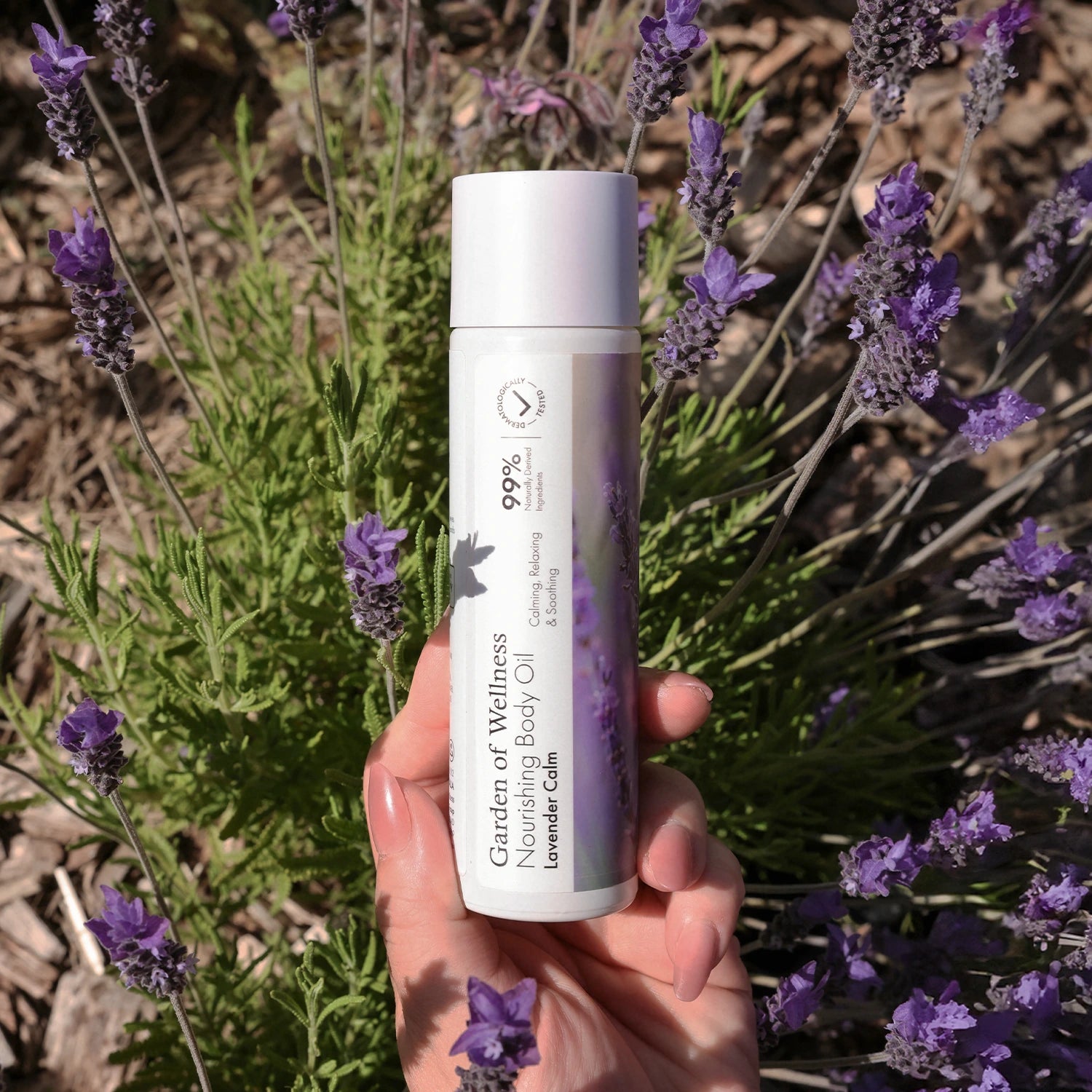 Lavender Calm – Nourishing Body Oil