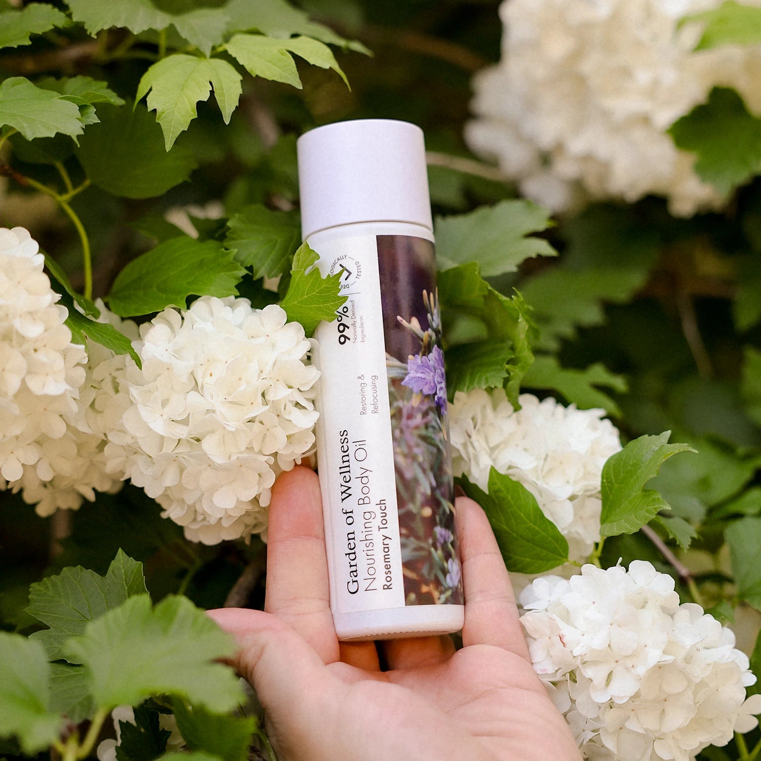 Rosemary Touch – Nourishing Body Oil