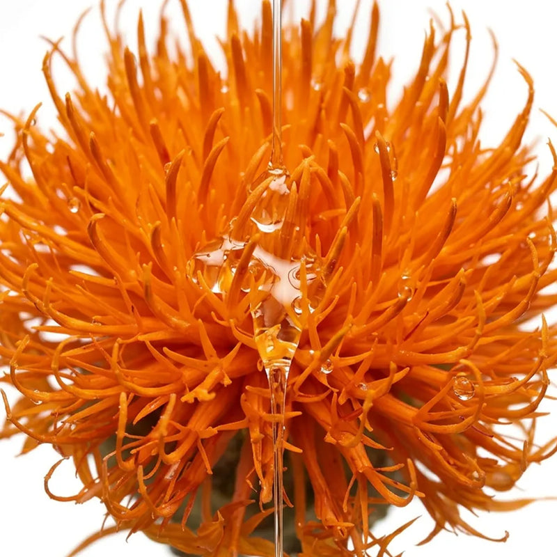 Crambe + Apricot + Safflower Oils