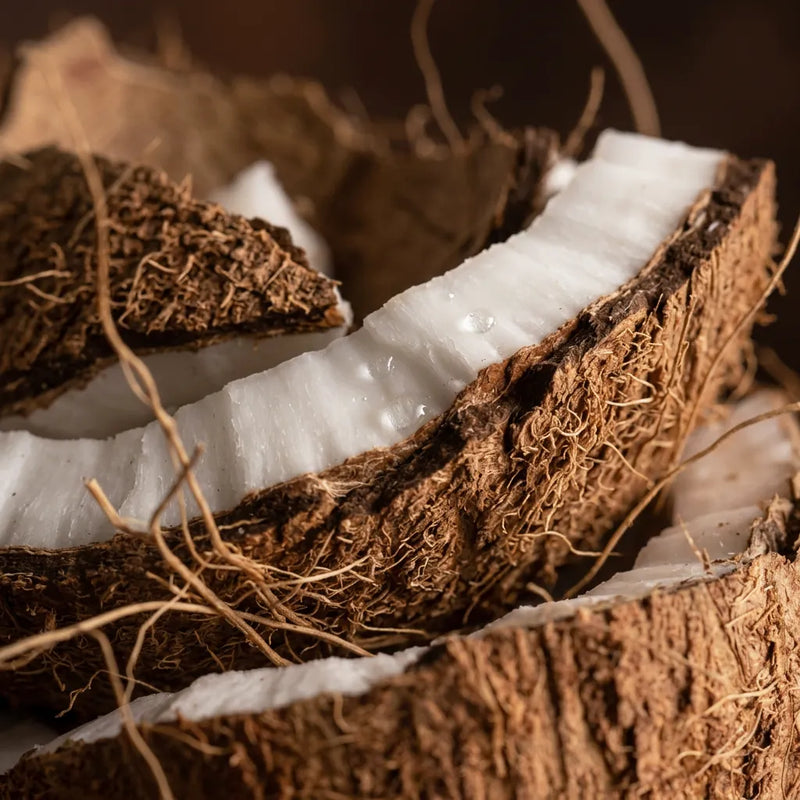 Pumpkin Seed + Coconut + Crambe + Safflower Oils